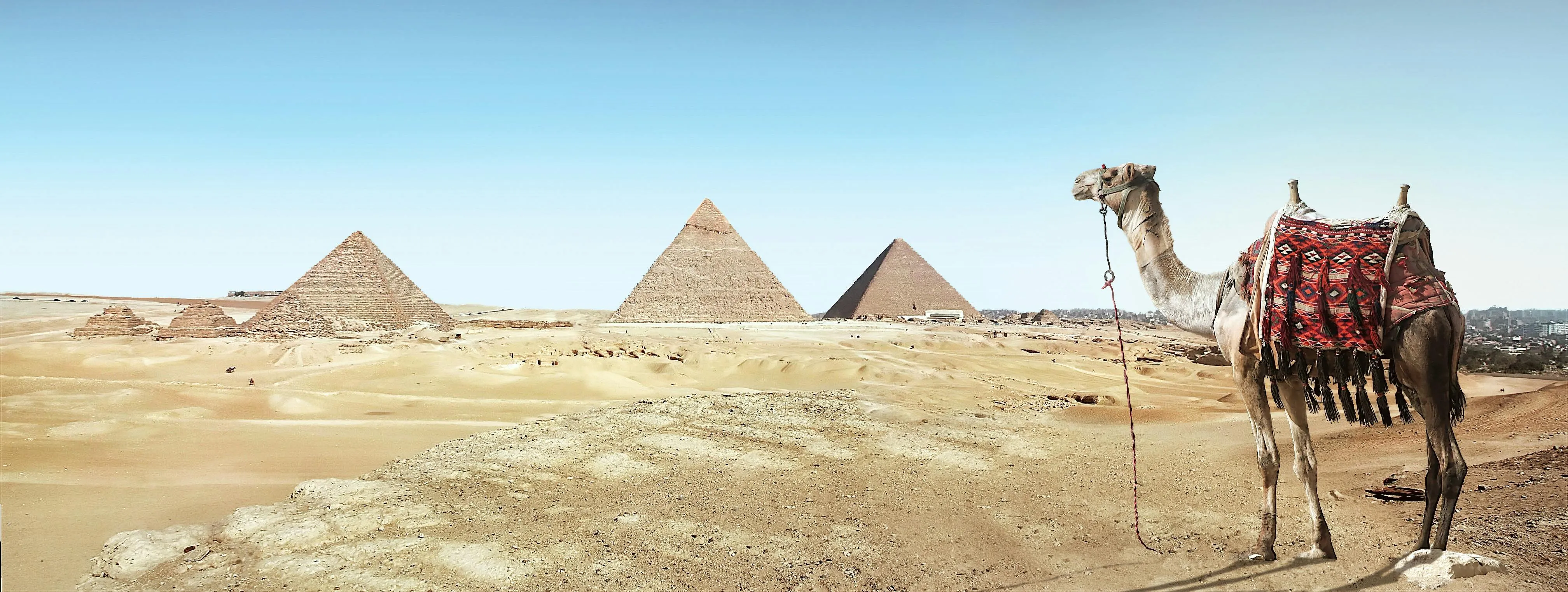 Pyramids View
