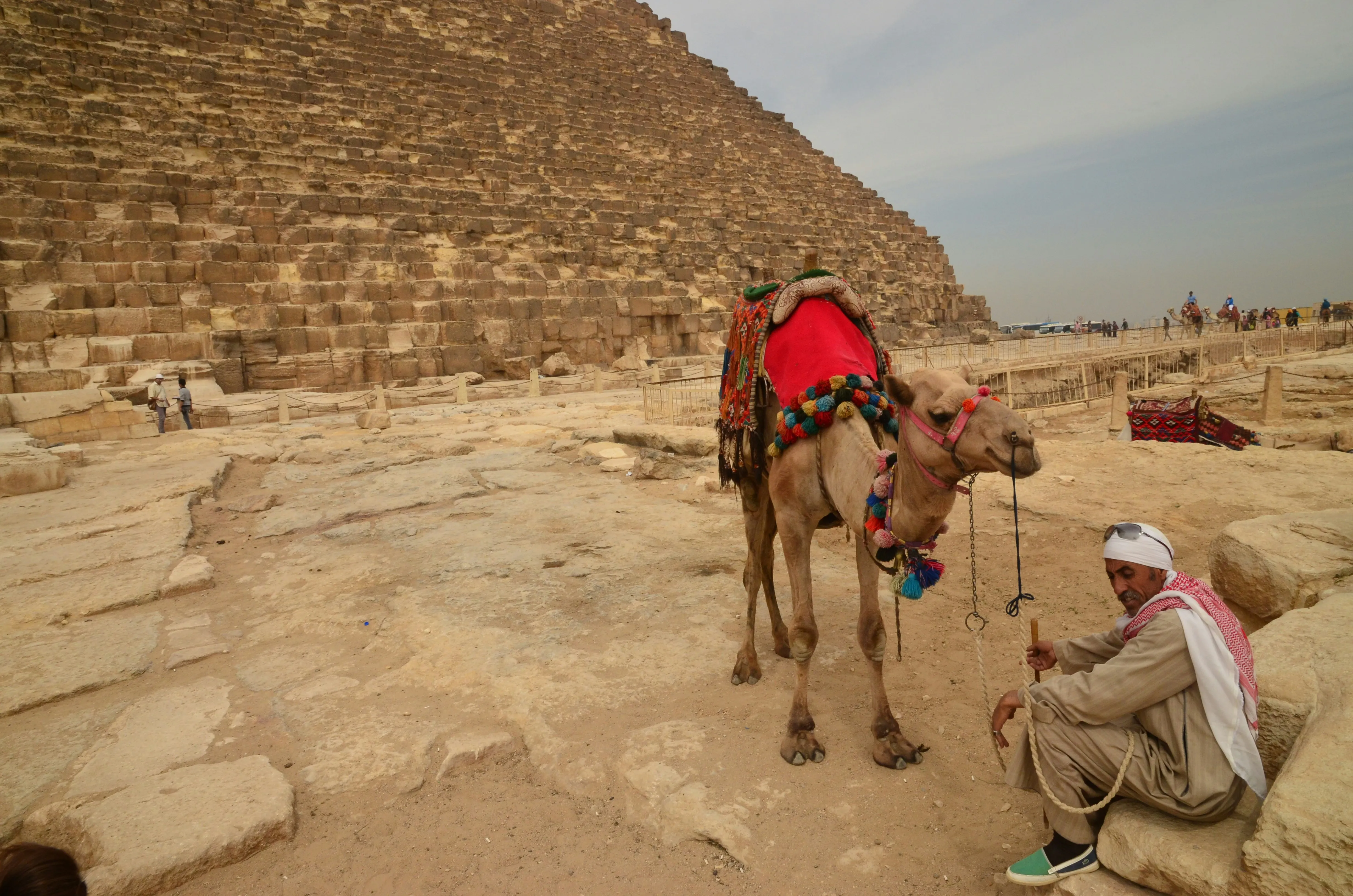 Camel Ride